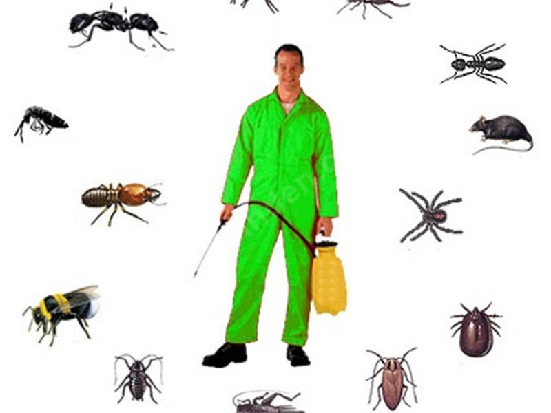 Dedebaşı Böcek İlaçlama